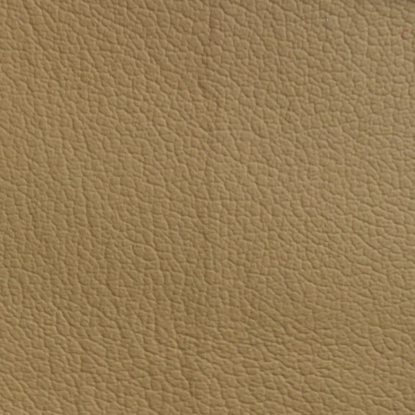 ZV2022 Zenith Champagne vinyl swatch